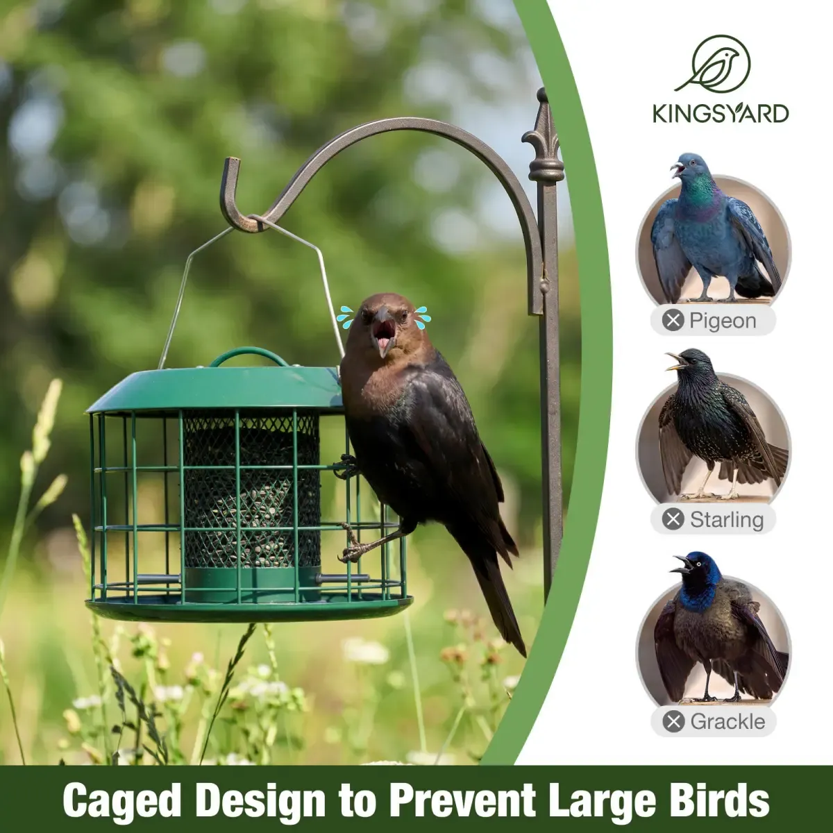 Kingsyard Weatherproof Caged Squirrel Proof Bird Feeders 5 Kingsyard Weatherproof Caged Squirrel Proof Bird Feeders 5