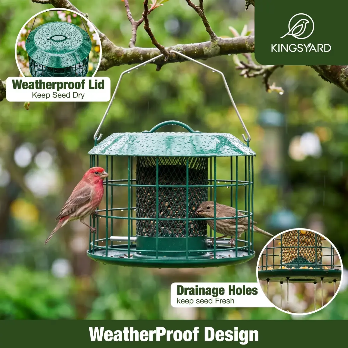 Kingsyard Weatherproof Caged Squirrel Proof Bird Feeders 7 Kingsyard Weatherproof Caged Squirrel Proof Bird Feeders 7