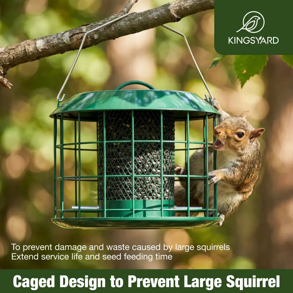 Kingsyard Weatherproof Caged Squirrel Proof Bird Feeders 8 Kingsyard Weatherproof Caged Squirrel Proof Bird Feeders 8