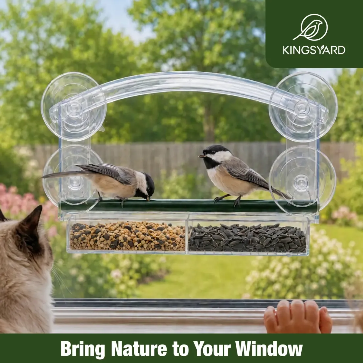 Kingsyard Window Bird Feeder with 4 Extra Strong Suction Cups 4 Kingsyard Window Bird Feeder with 4 Extra Strong Suction Cups 4