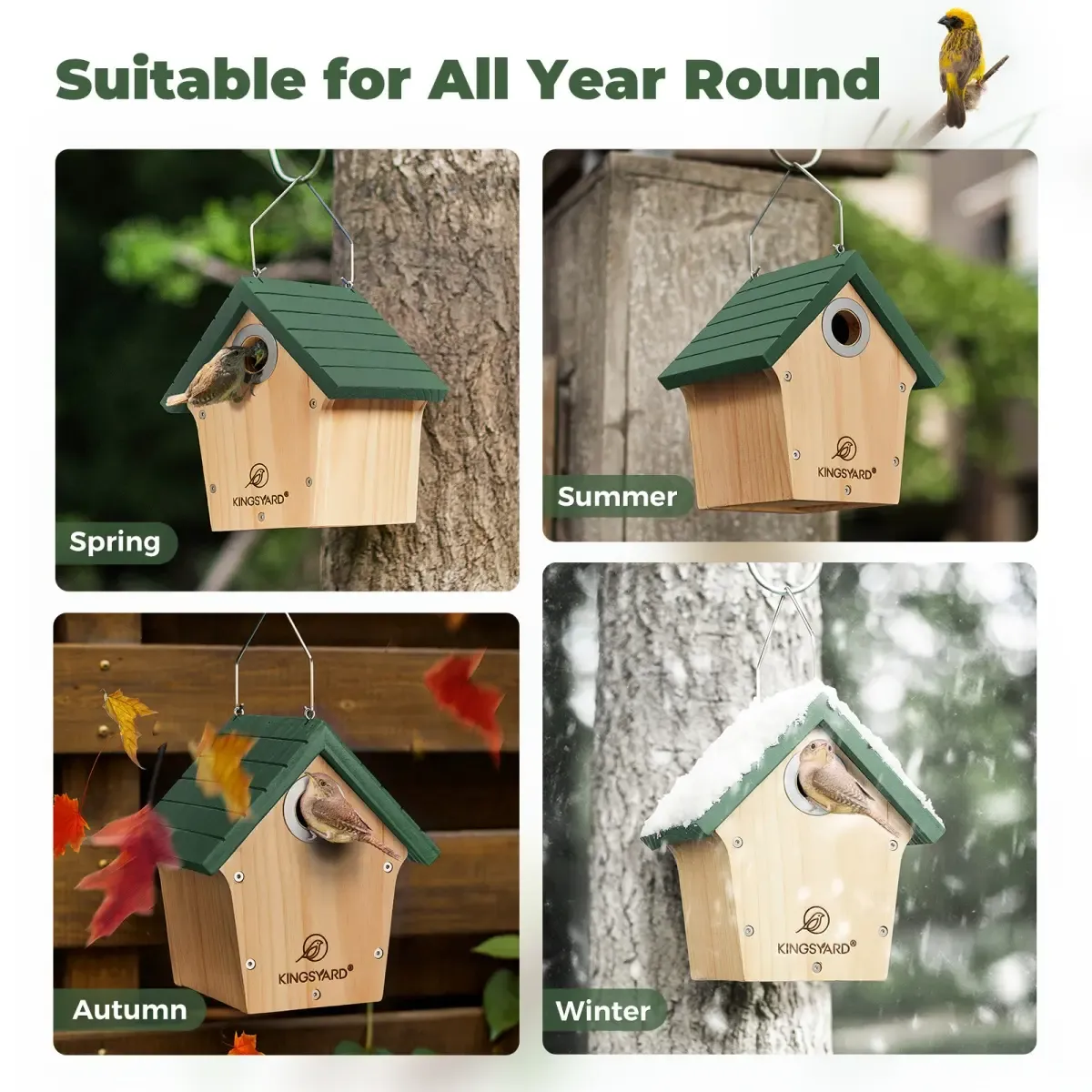 Green Kingsyard Wooden Wren House with 1” Hole for Nesting 8 Green Kingsyard Wooden Wren House with 1” Hole for Nesting 8