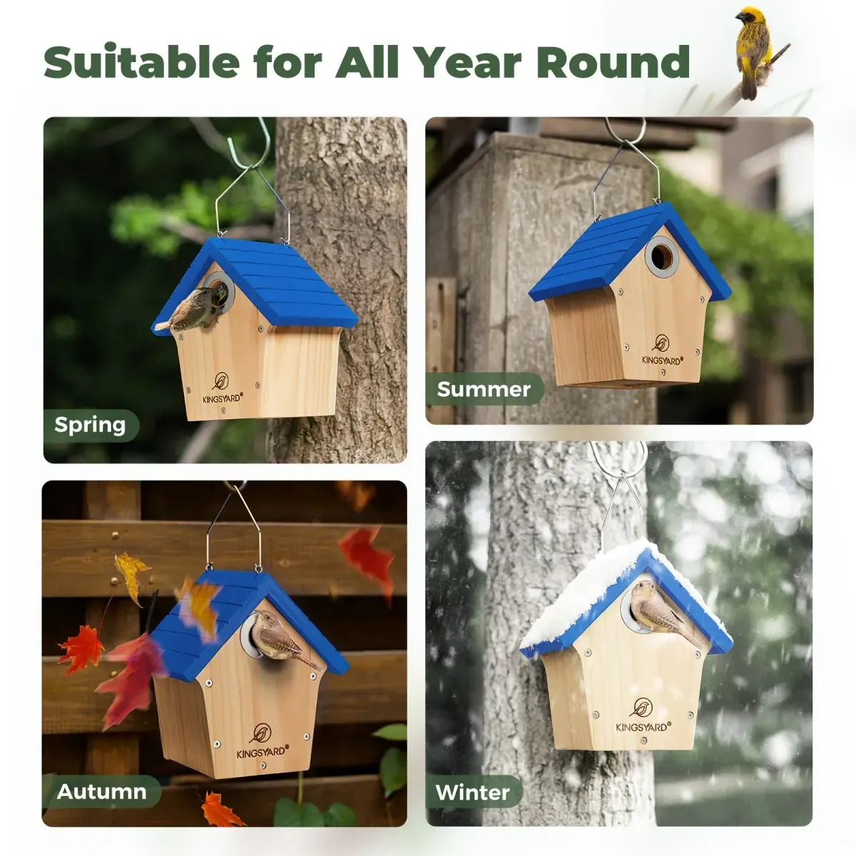 Royal Blue Kingsyard Wooden Wren House with 1” Hole for Nesting 8