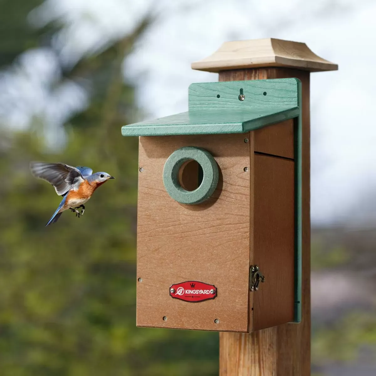 Kingsyard Recycled Plastic Bluebird House with 1.5'' Hole