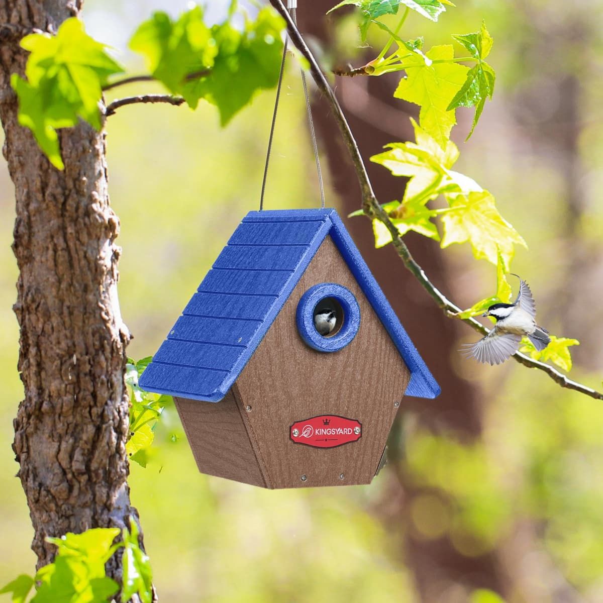 Kingsyard Hanging Wren House with 1.1'' Hole
