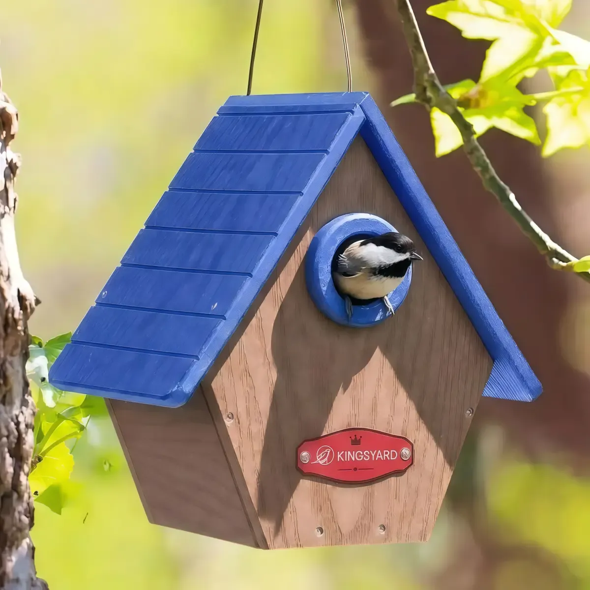 Blue Kingsyard Hanging Wren House with 1.1'' Hole 1 Blue Kingsyard Hanging Wren House with 1.1'' Hole 1