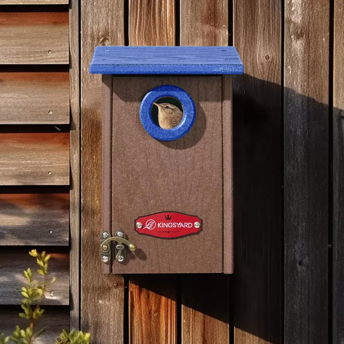 Kingsyard Weatherproof Wren Bird House with 1'' Hole