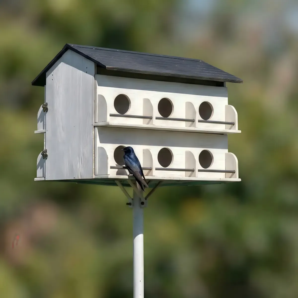Kingsyard Pre-Assembled 12-Room Purple Martin House