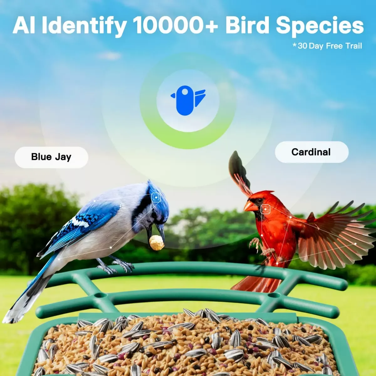 Titto Smart Bird Feeder Pro 6