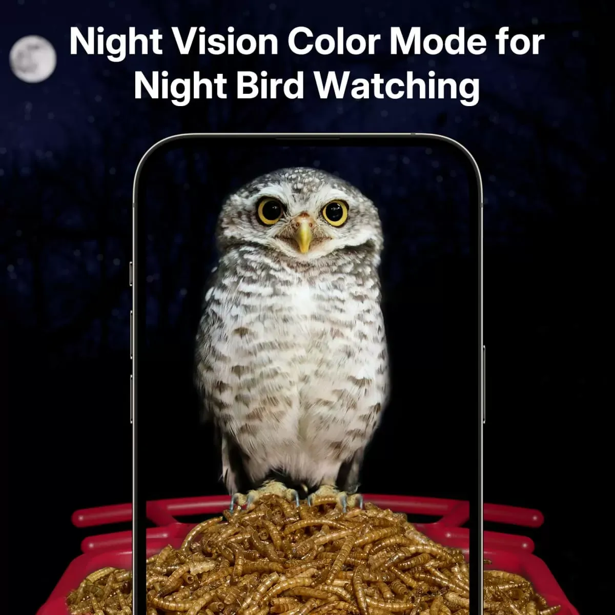 Red Titto Smart Bird Feeder Pro 8 Red Titto Smart Bird Feeder Pro 8