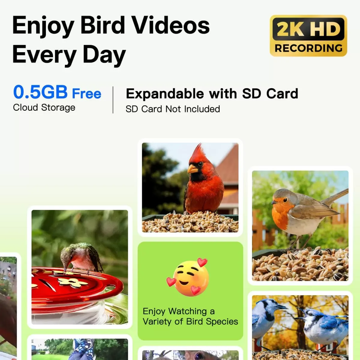 Titto 2 in 1 Smart Bird Feeder with Camera 4