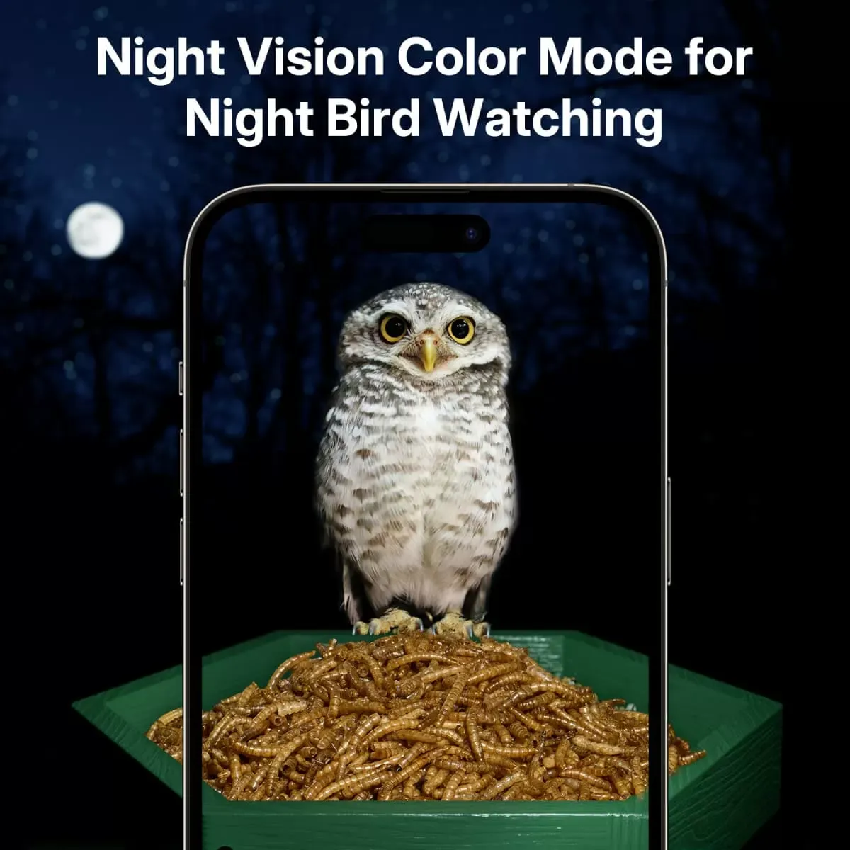 Green Titto 2 in 1 Smart Bird Feeder with Camera 8