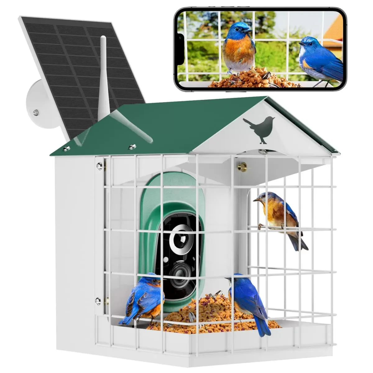 Titto Squirrel Proof Bird Feeder with Camera 2
