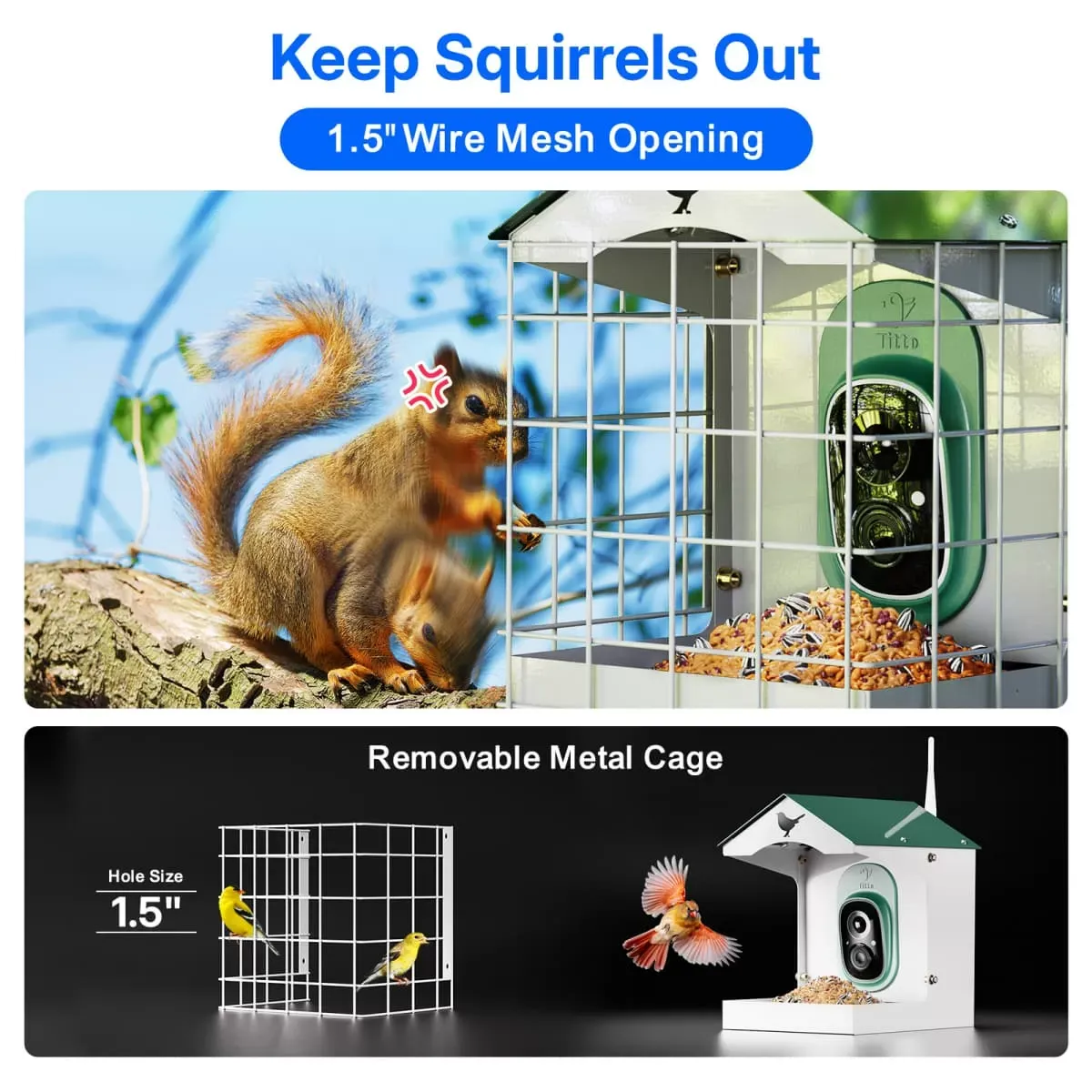 Titto Squirrel Proof Bird Feeder with Camera 6