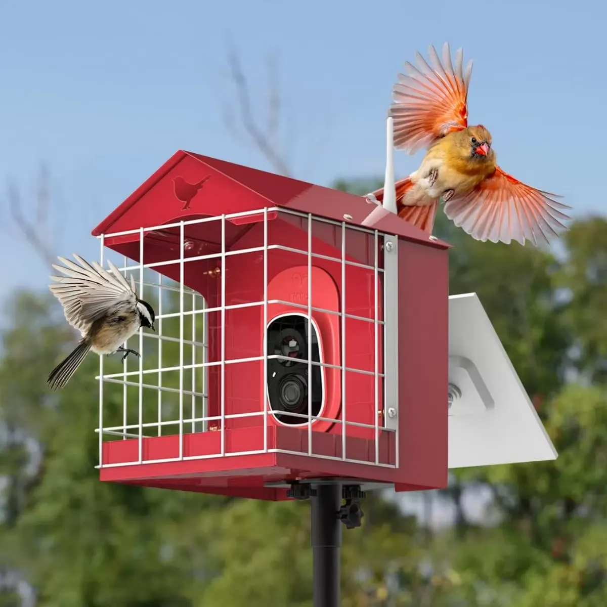 Red Titto Squirrel Proof Bird Feeder with Camera 1