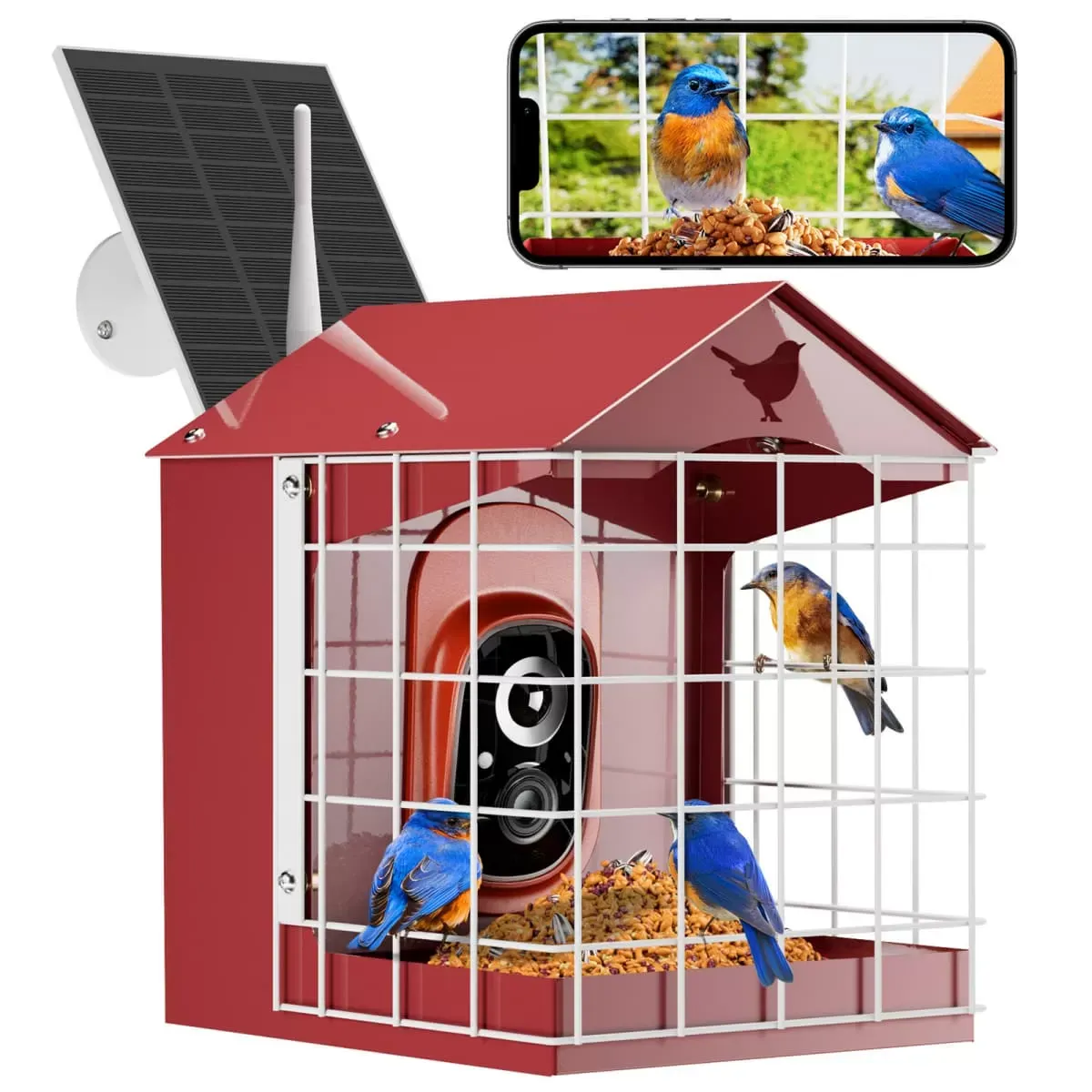 Red Titto Squirrel Proof Bird Feeder with Camera 2