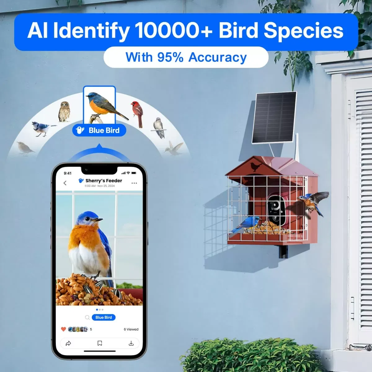 Red Titto Squirrel Proof Bird Feeder with Camera 3