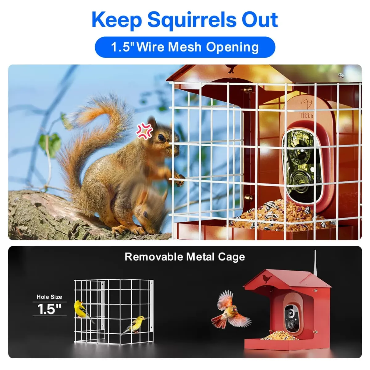 Red Titto Squirrel Proof Bird Feeder with Camera 6