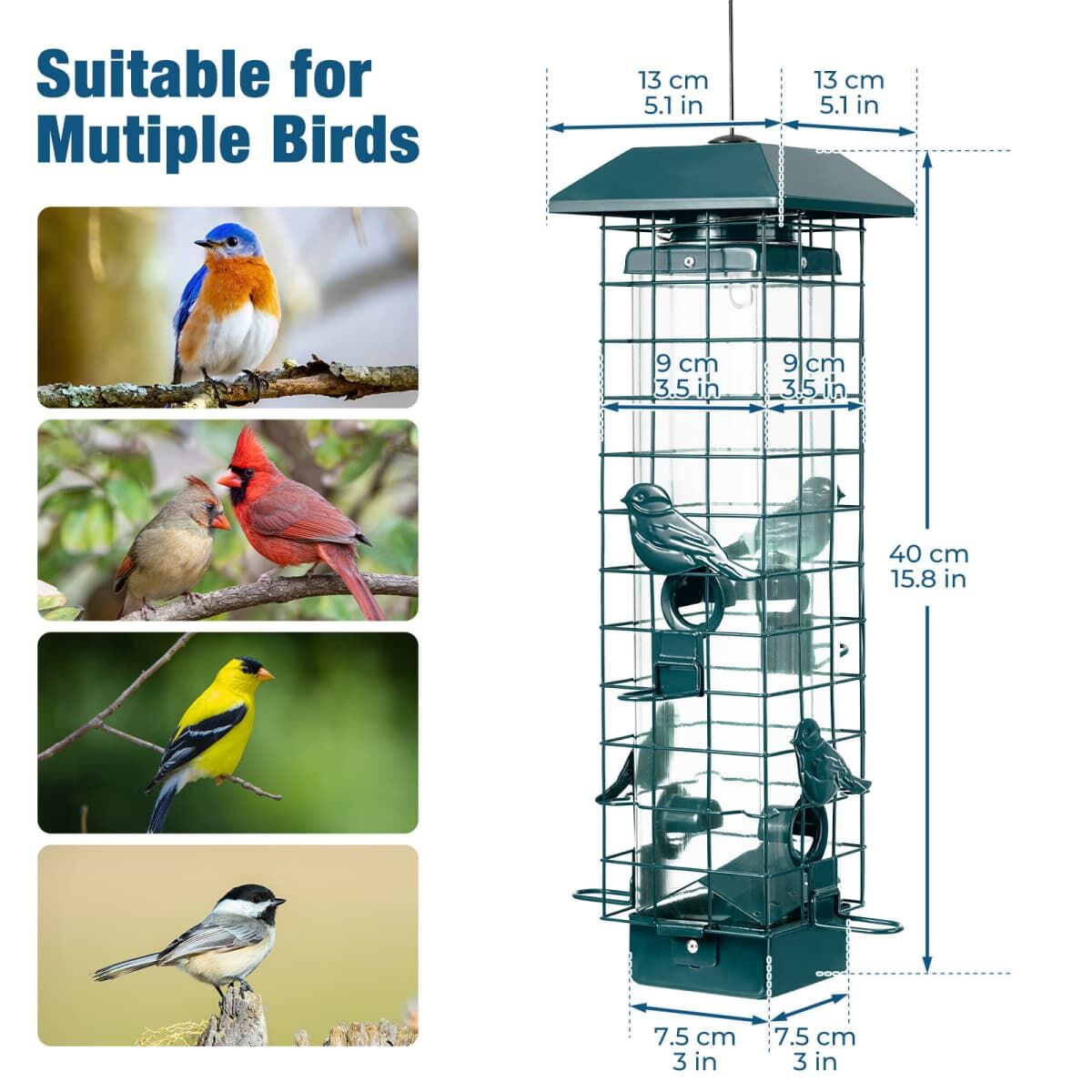 Kingsyard Squirrel-Proof Wild Bird Feeder 4