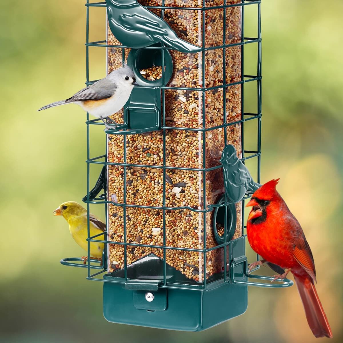 Kingsyard Squirrel-Proof Wild Bird Feeder 8