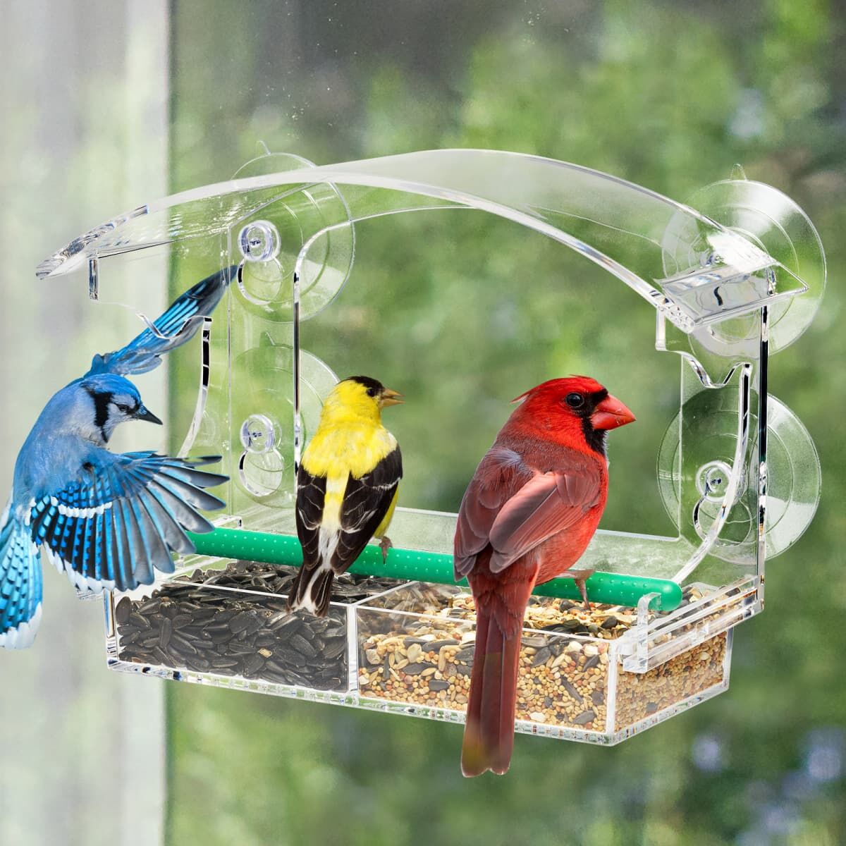 Kingsyard Transparent Acrylic Window Bird Feeder