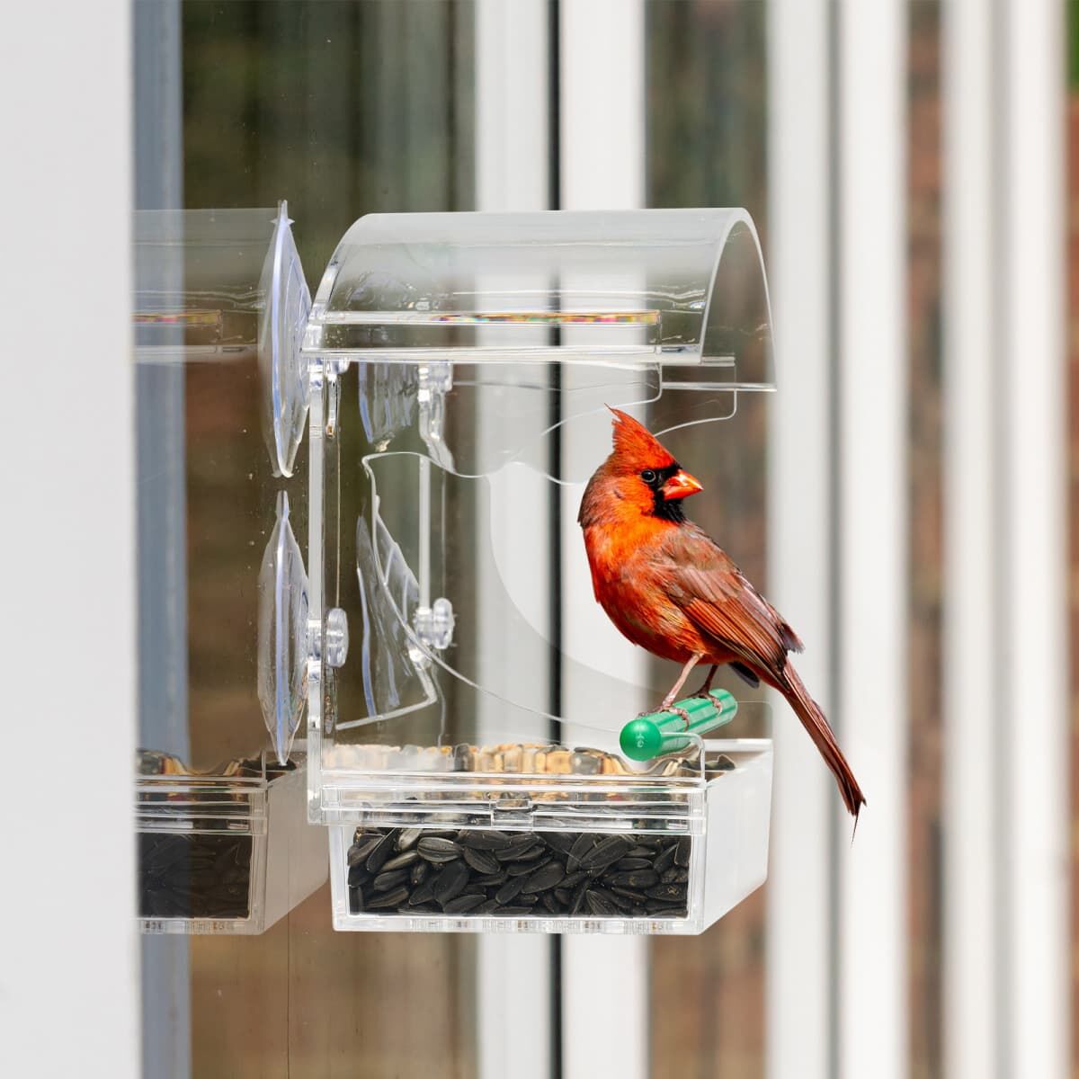Kingsyard Transparent Acrylic Window Bird Feeder 4
