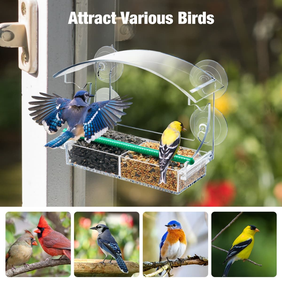 Kingsyard Transparent Acrylic Window Bird Feeder 7