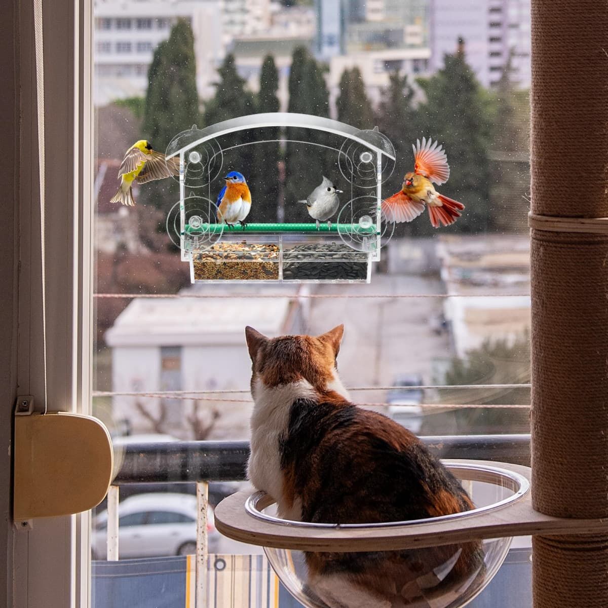 Kingsyard Transparent Acrylic Window Bird Feeder 8