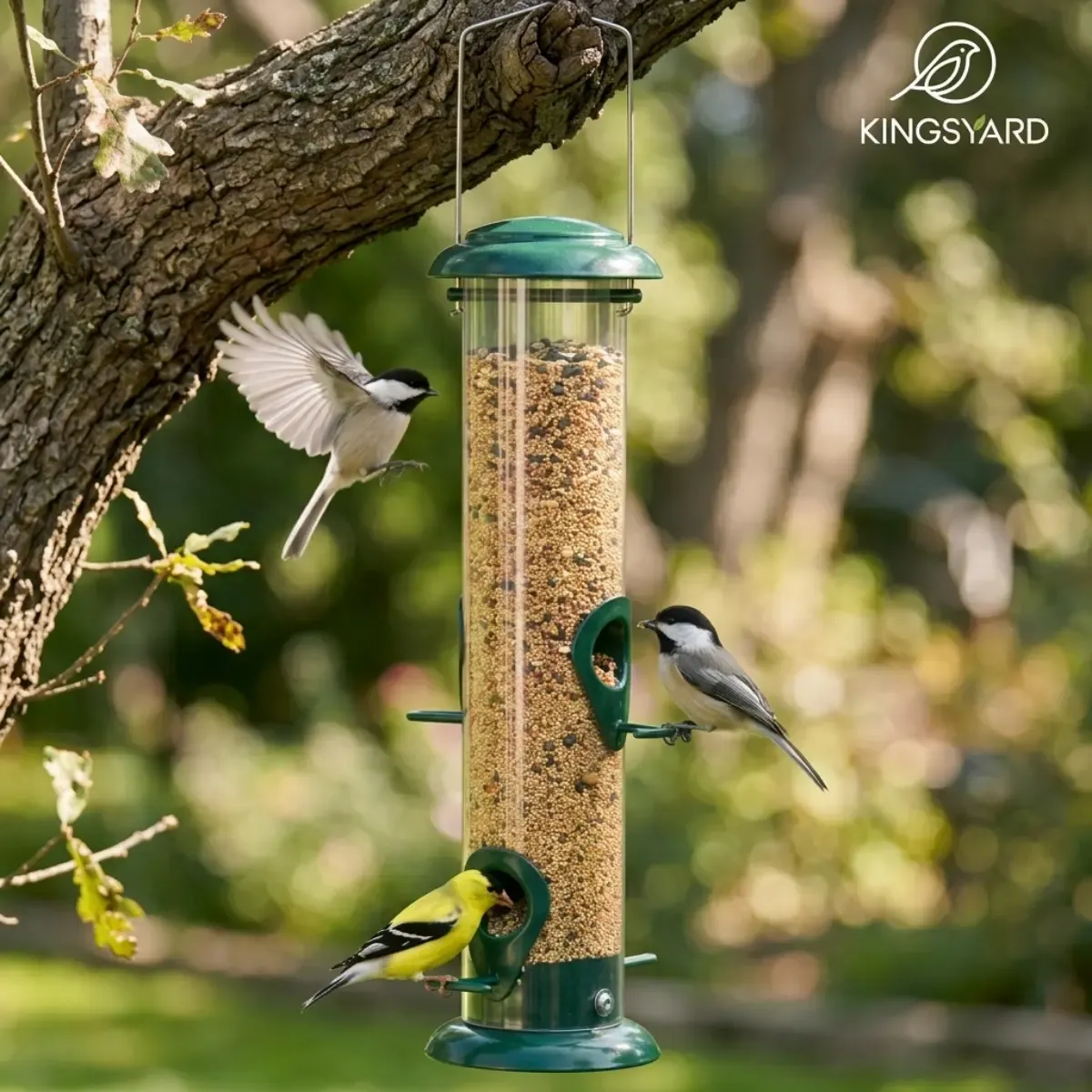 Kingsyard Metal Tube Bird Feeder for Outdoor Hanging