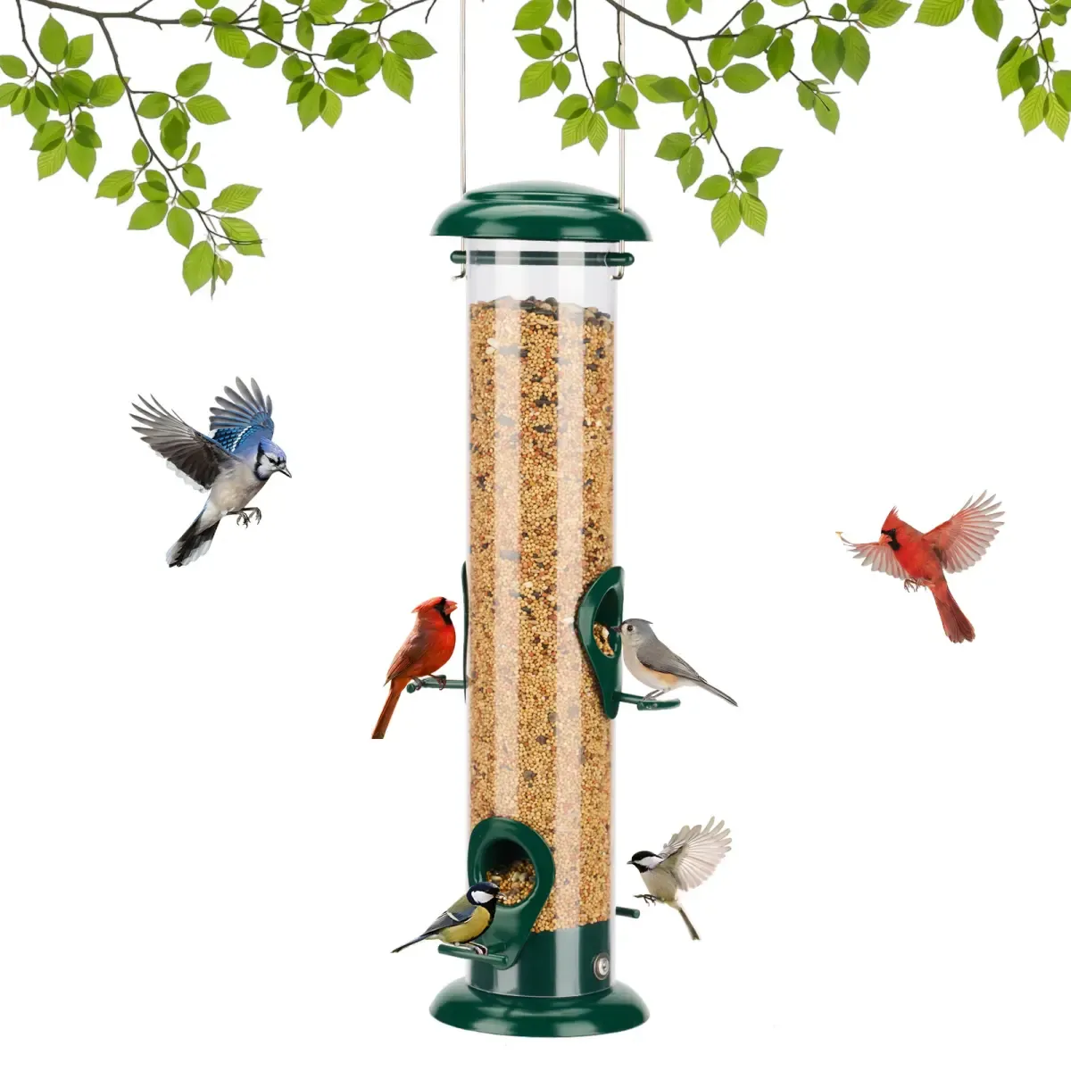 Kingsyard Metal Tube Bird Feeder for Outdoor Hanging 2